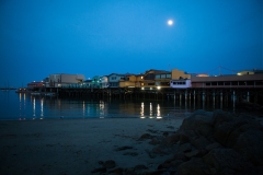 Moonlight in Monterey
