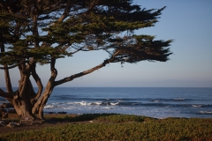 Ocean in Monterey